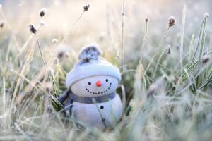 snowman, winter, grasses, hoarfrost, figure, funny, decoration, christmas time, mood, cold, december, lighting, frozen, frost, christmas wallpaper, snowman, snowman, snowman, snowman, snowman, winter, winter, winter, winter, funny, funny, funny, funny, december, december, december